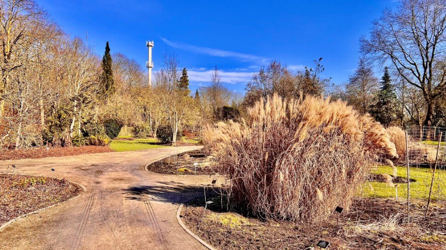 Arboretum 2 Het Leen, Belgium